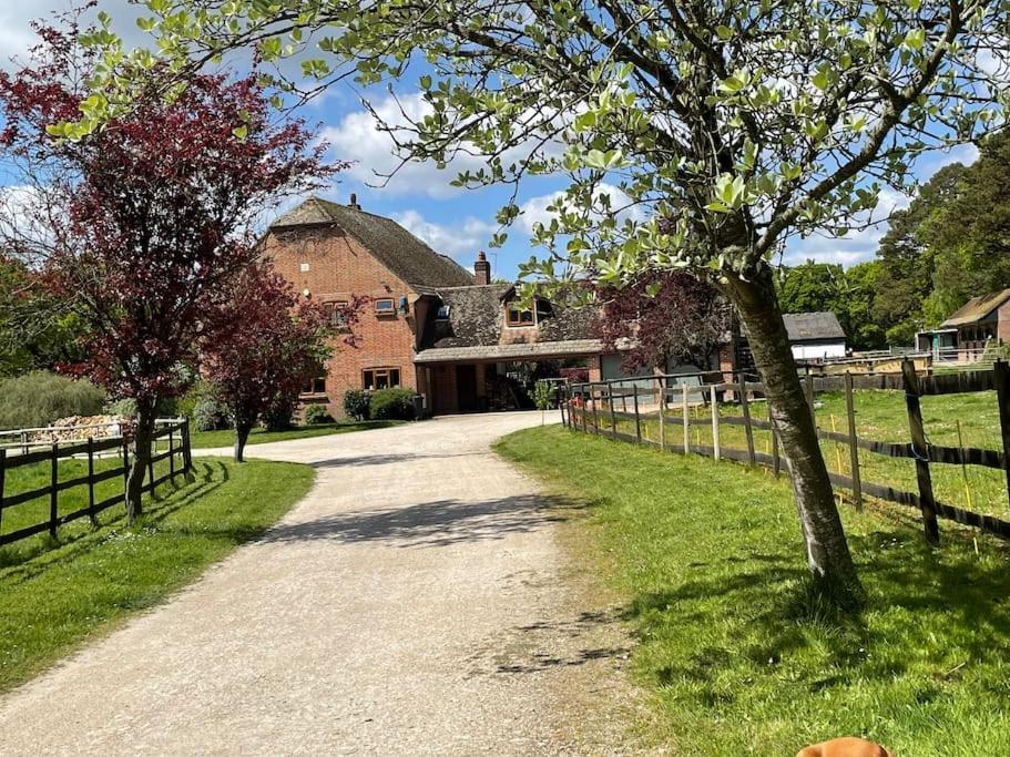 Self Catering Apartment, Jurassic Coast/Dorset Wareham Esterno foto