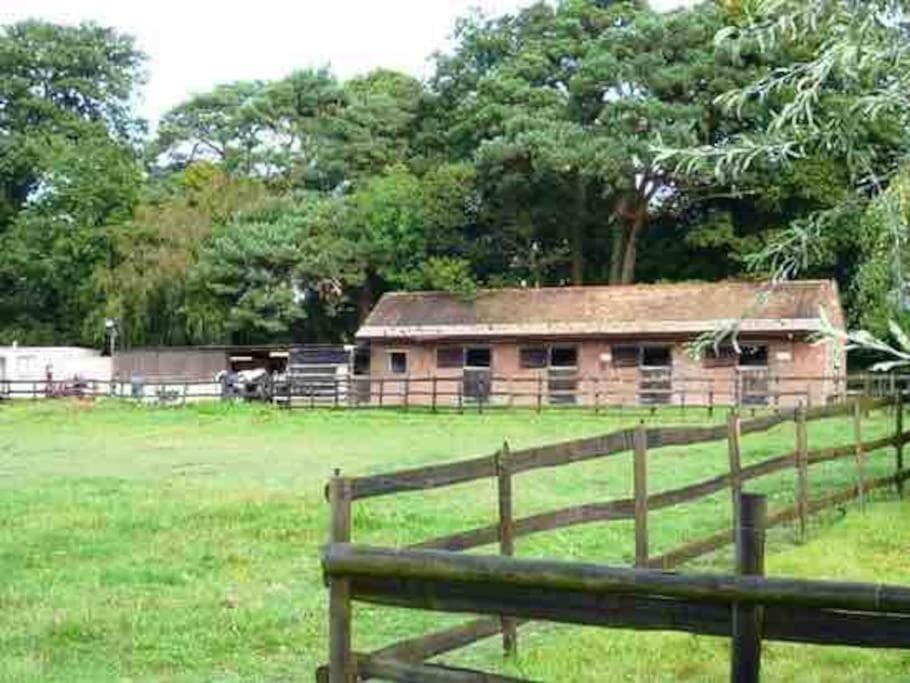 Self Catering Apartment, Jurassic Coast/Dorset Wareham Esterno foto